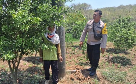 Dorong Kemandirian Ekonomi Keluarga melalui Tanaman Produktif